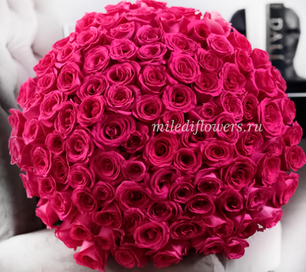 Монобукет из 101 розовой эквадорской розы